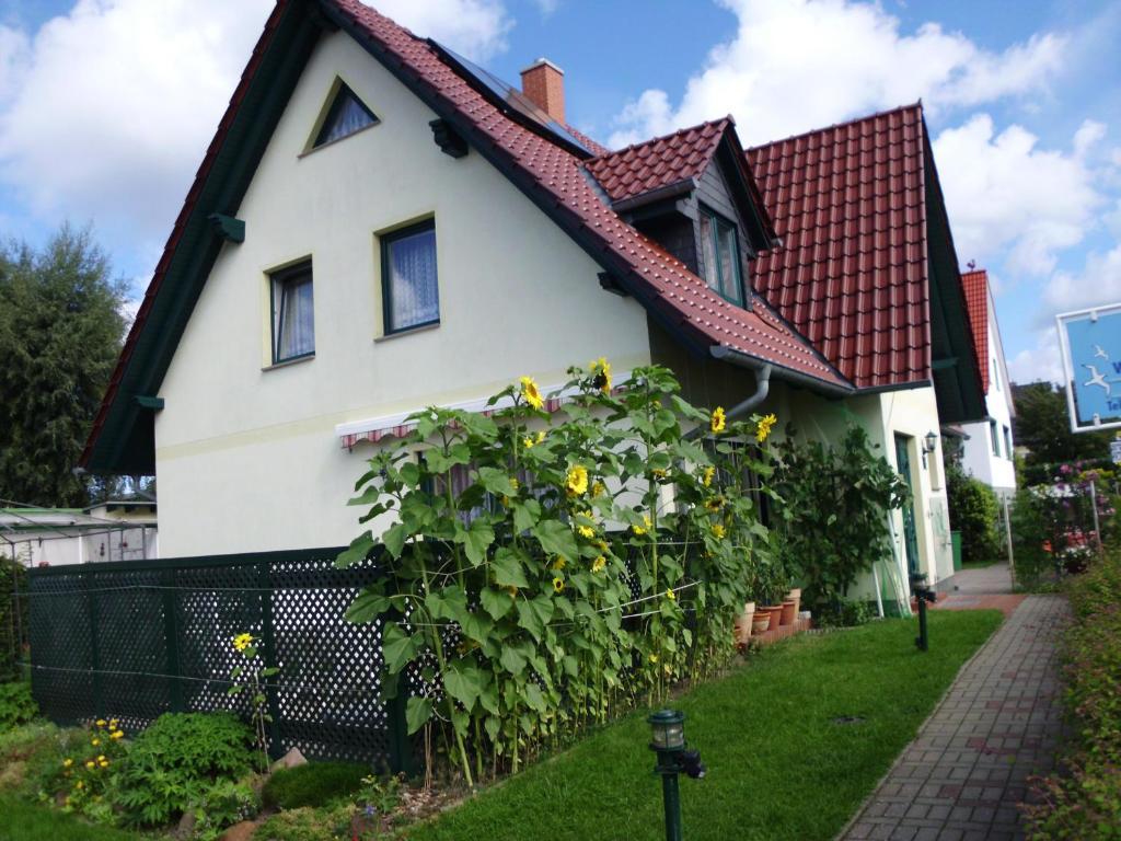 Haus Arvert Koserow Exterior foto